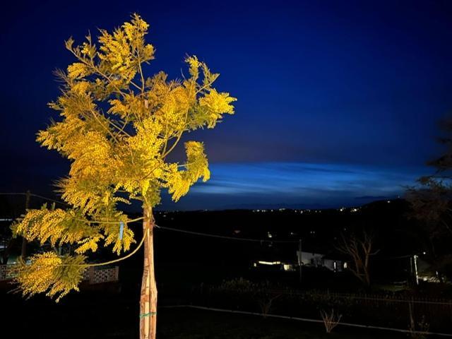 Ermitage La Suite-Hermitage Al Tramonto-Hermitage Tra Le Vigne Cioccaro Di Penango Экстерьер фото
